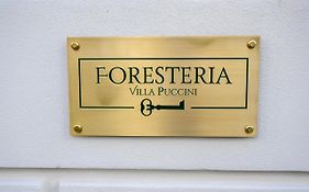 Foresteria Villa Puccini Casa per Ferie-Holiday Home
